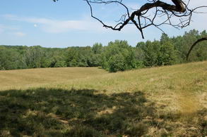 Hilly Haven Farm, Caledon - Country homes for sale and luxury real estate including horse farms and property in the Caledon and King City areas near Toronto